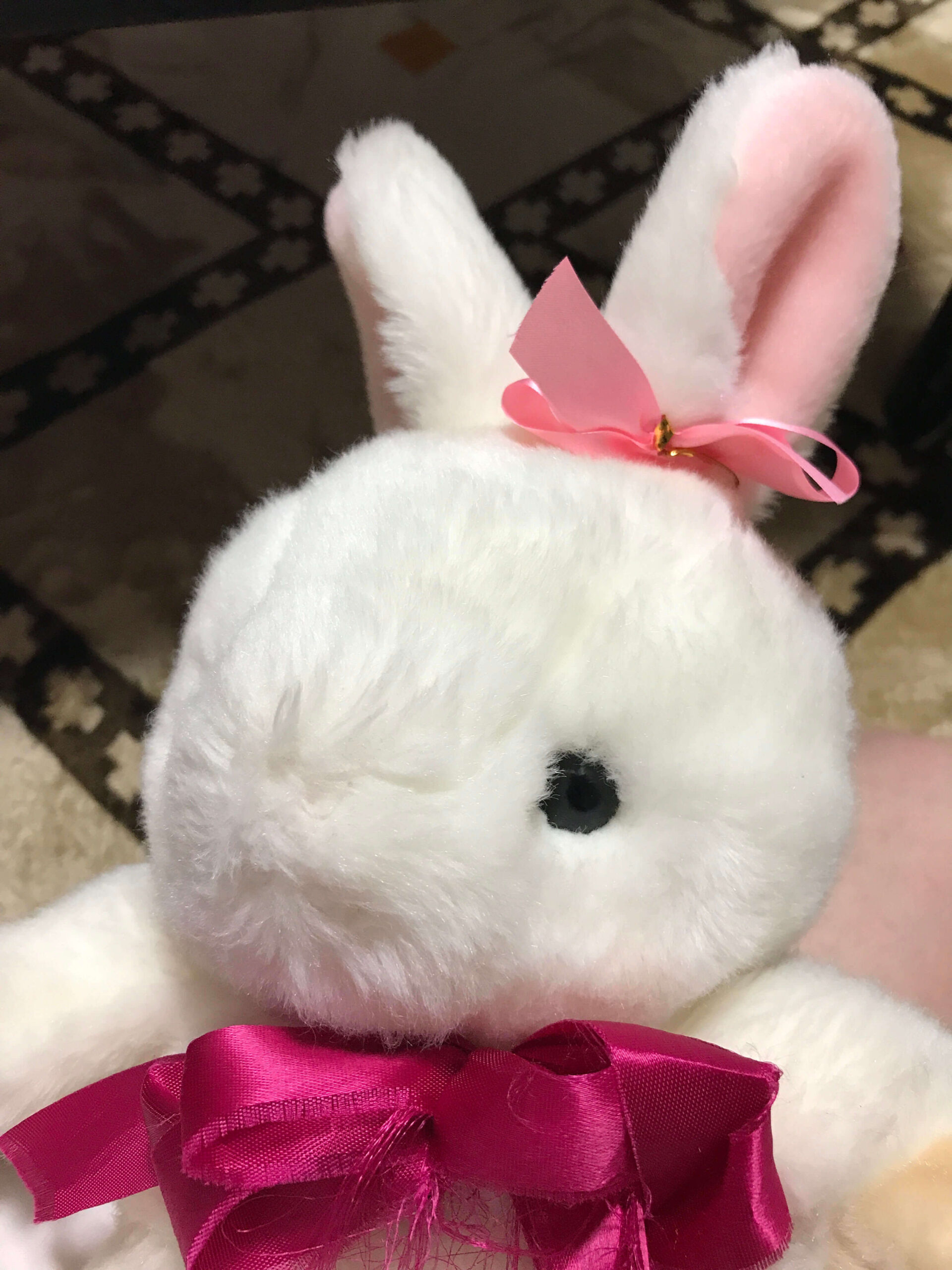 うさこ日和